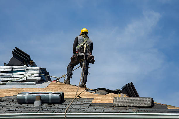 Professional Roof Replacement technician working in Leroy, IN